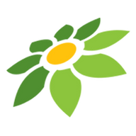 LINK SAKURASLOT